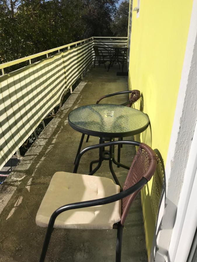Apartments Monika Bibinje Εξωτερικό φωτογραφία