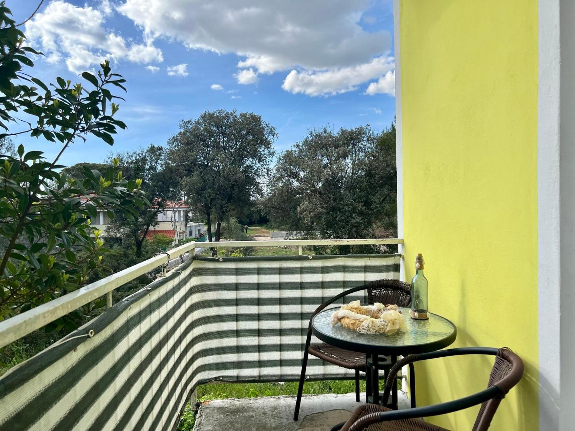 Apartments Monika Bibinje Εξωτερικό φωτογραφία