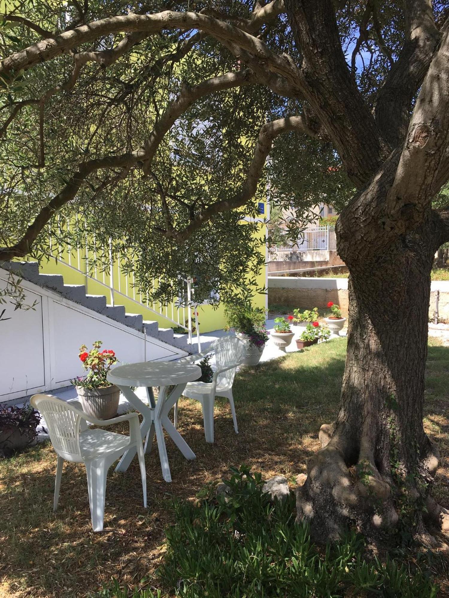 Apartments Monika Bibinje Εξωτερικό φωτογραφία