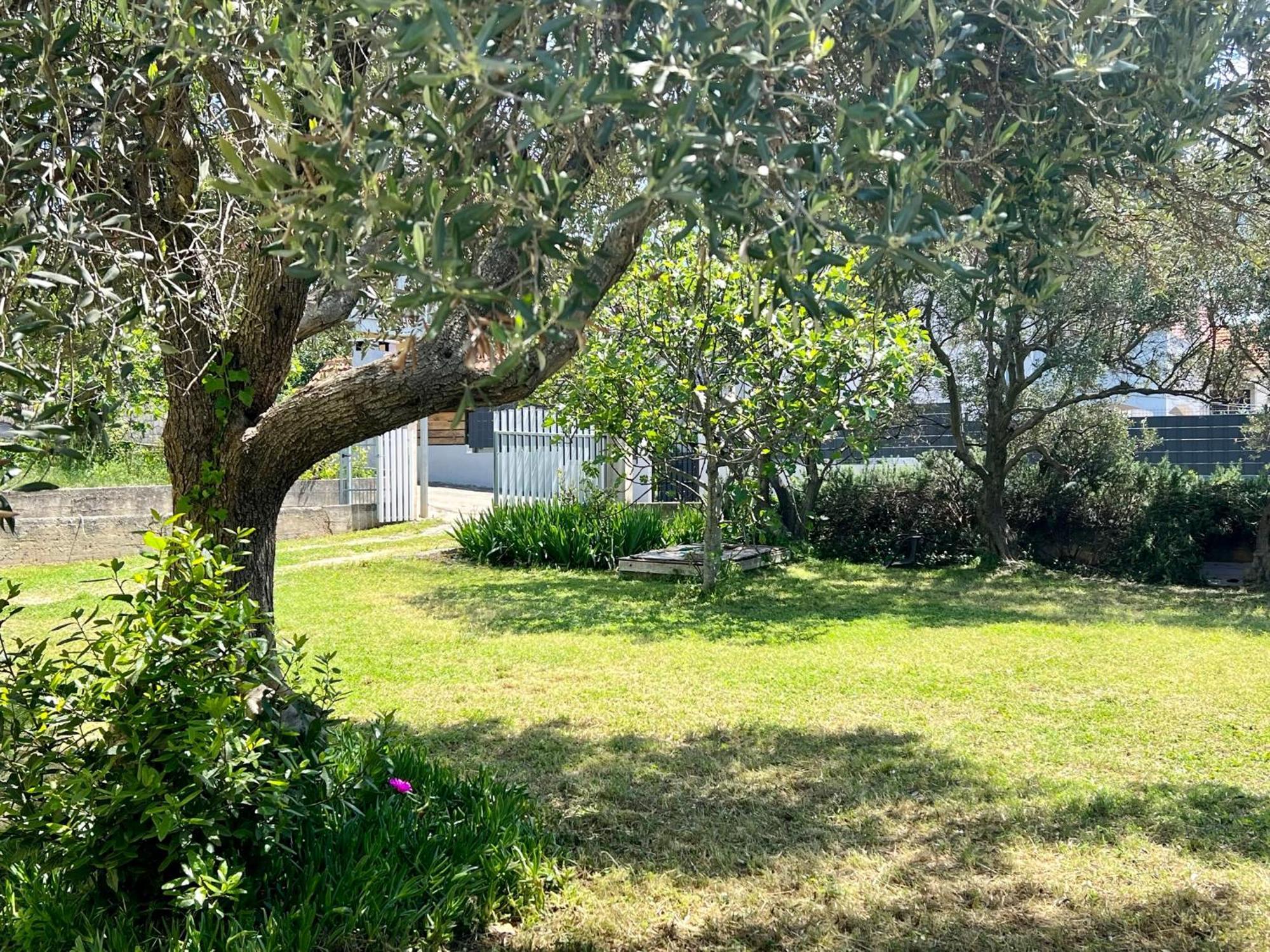 Apartments Monika Bibinje Εξωτερικό φωτογραφία