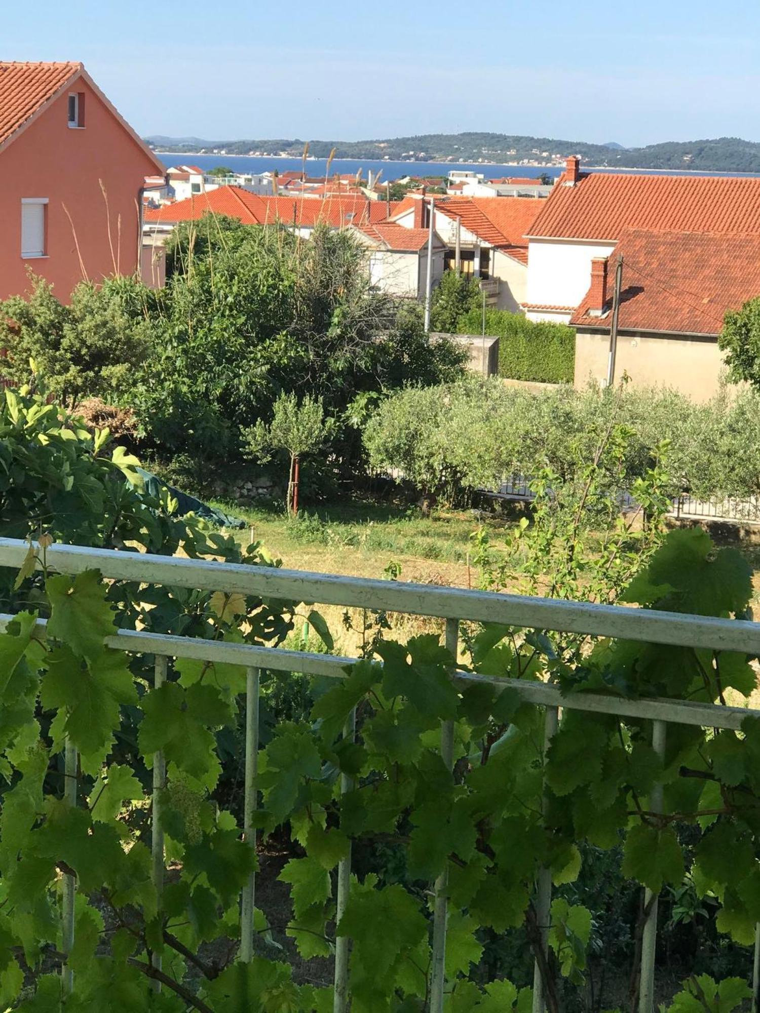 Apartments Monika Bibinje Εξωτερικό φωτογραφία