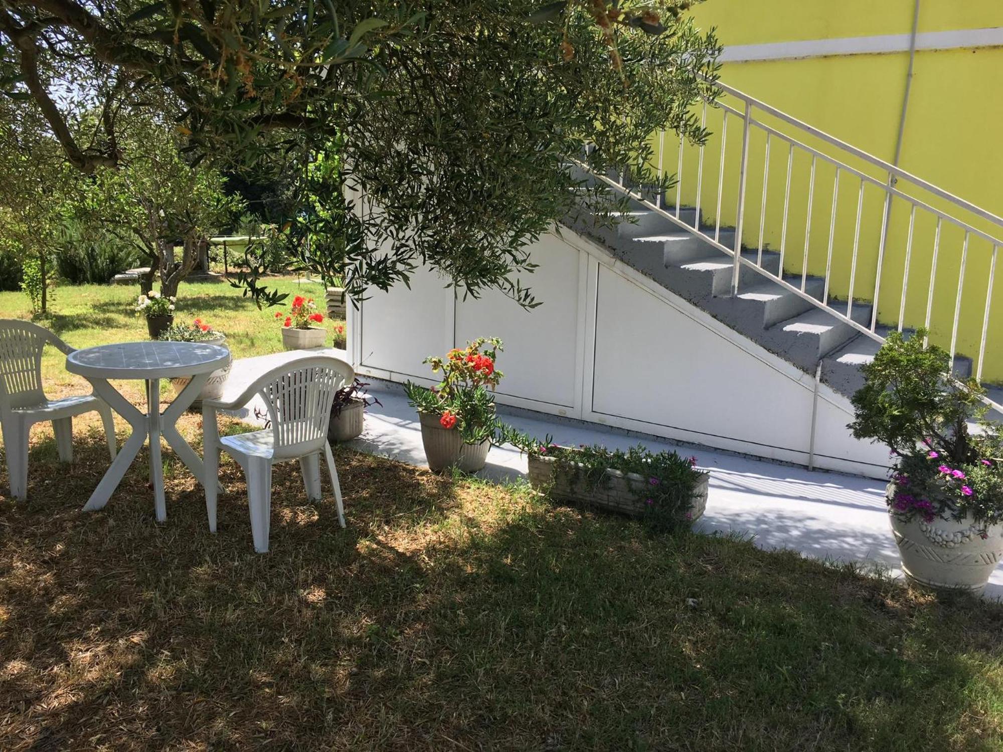 Apartments Monika Bibinje Εξωτερικό φωτογραφία